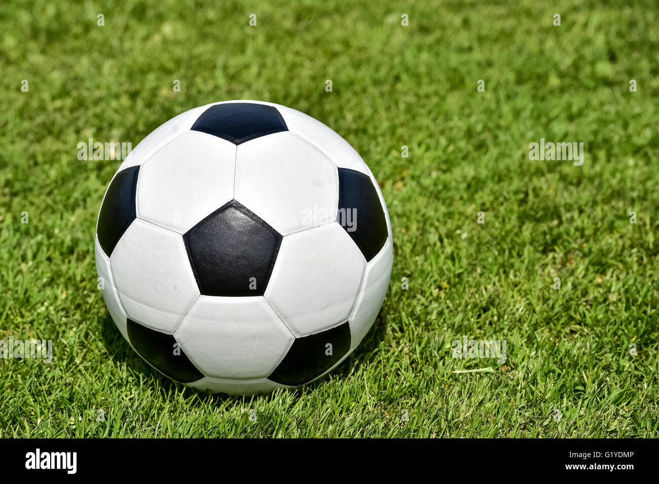 Black White soccer, leather ball on lawn Stock Photo