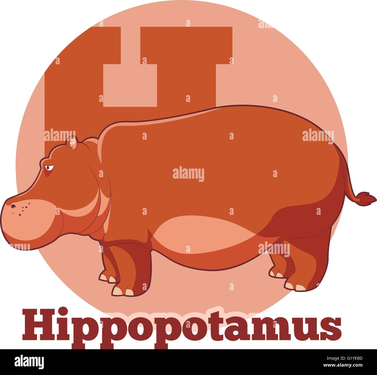 ABC Cartoon  Hippopotamus Stock Vector