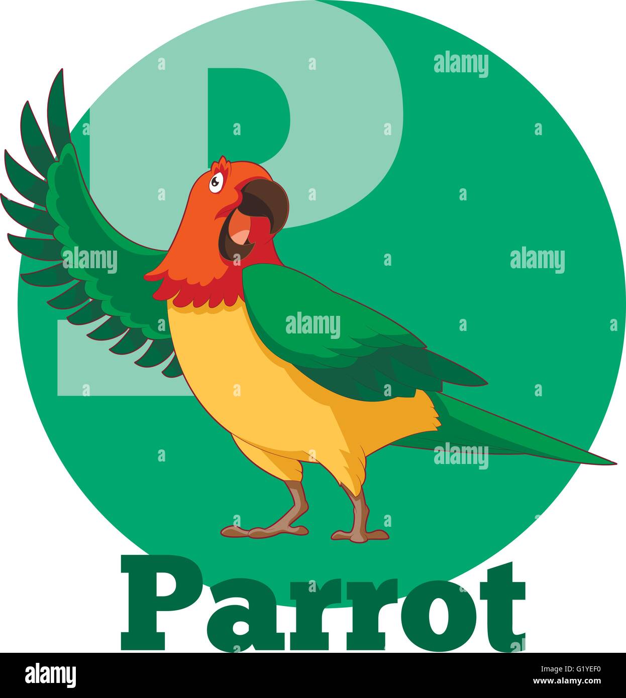 ABC Cartoon Parrot Stock Vector