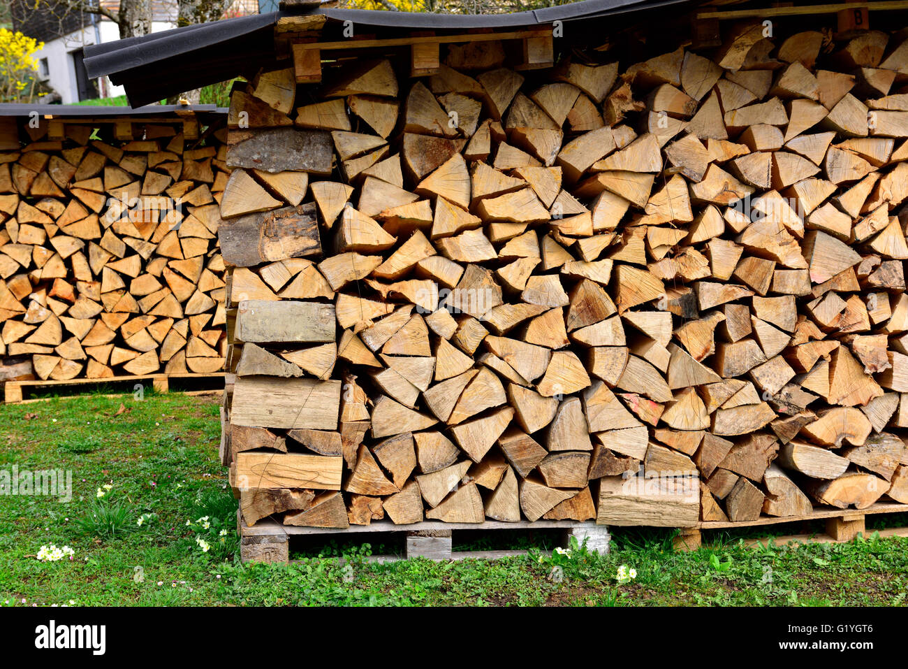 Stack of logs for firewood seasoning under tin roof Stock Photo Alamy