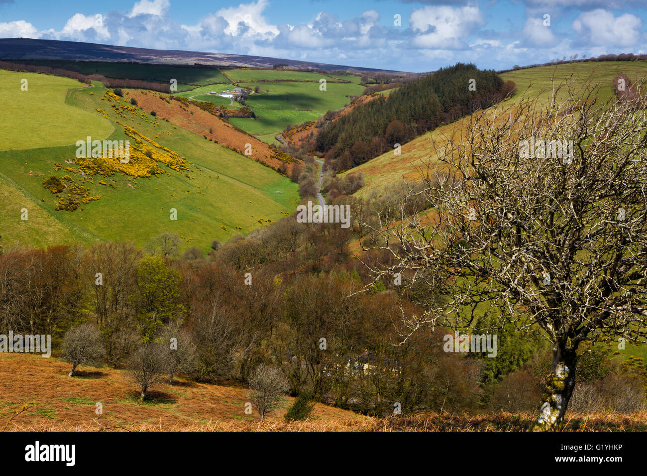 Exford Road following the valley just outside Winsford, Somerset, UK, taken from Bye Hill. Stock Photo