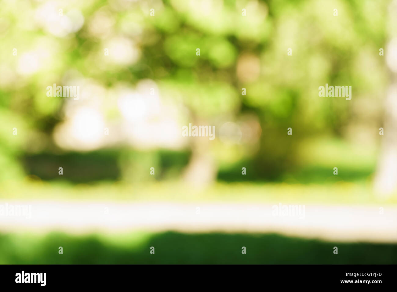 blurred background of green park in summer Stock Photo - Alamy