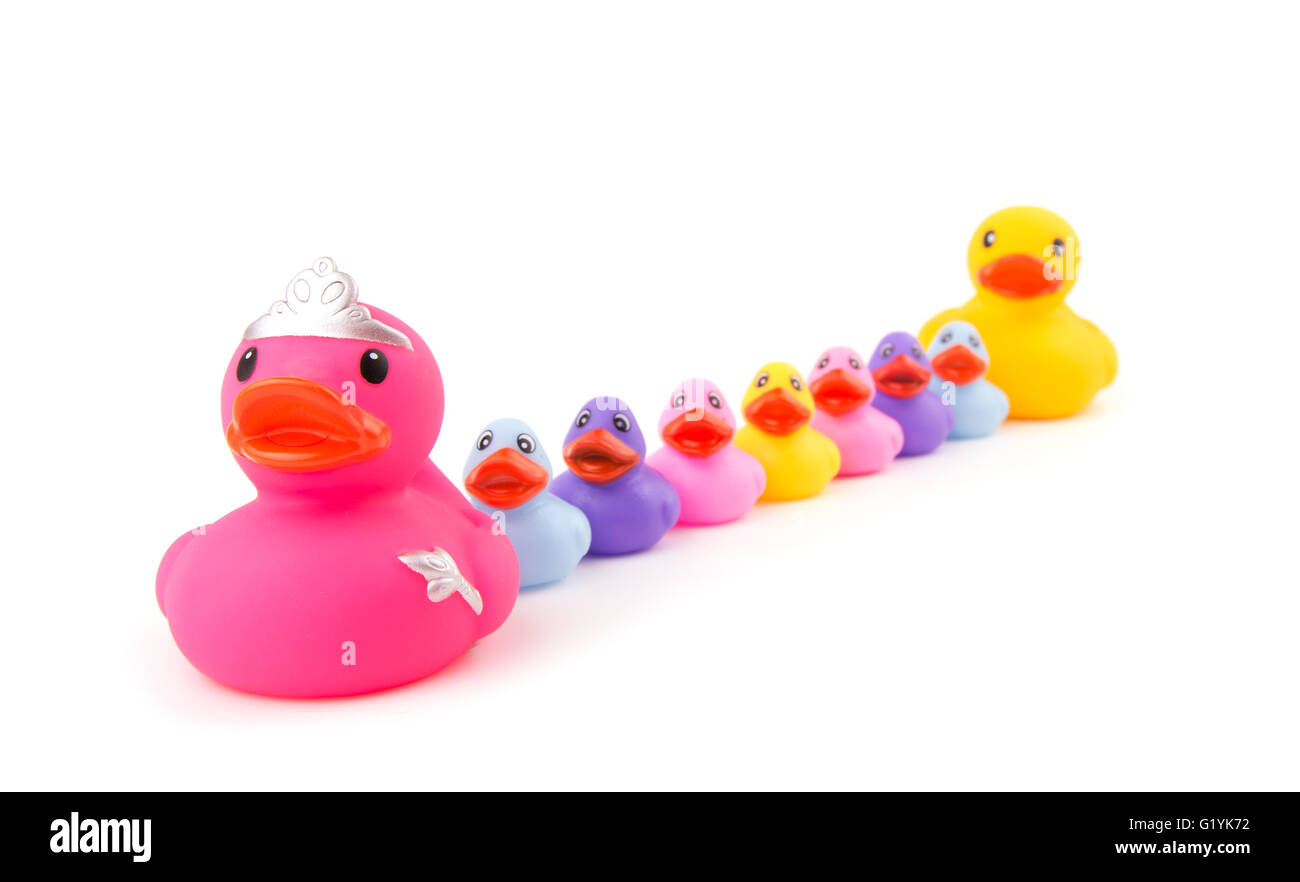 Mother rubber duck leading her children and daddy rubber duck in a single file; on white Stock Photo