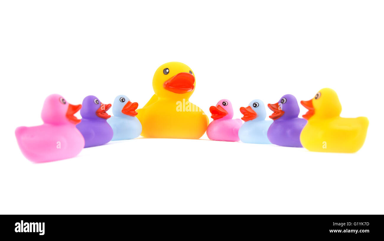 Big rubber duck as a center of attention of  little ducklings - concept of leading or teaching Stock Photo