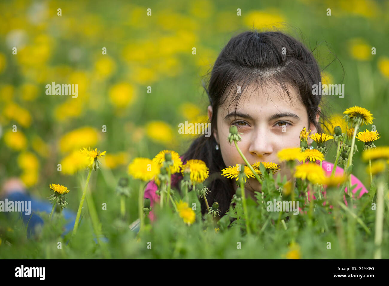 Portrait of a teenage girl lying in the grass Stock Photo - Alamy