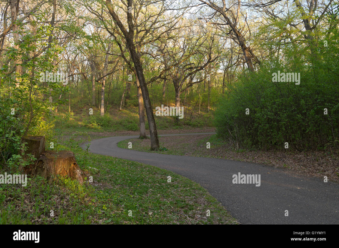 winding paved trail through forest at battle creek regional park in saint paul minnesota Stock Photo