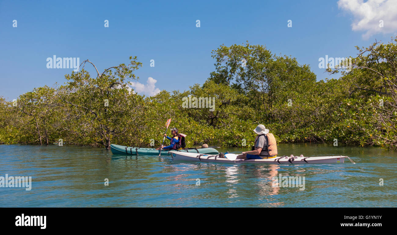 OSA PENINSULA, COSTA RICA - Man and woman paddle kayaks on river into mangrove swamp. Stock Photo