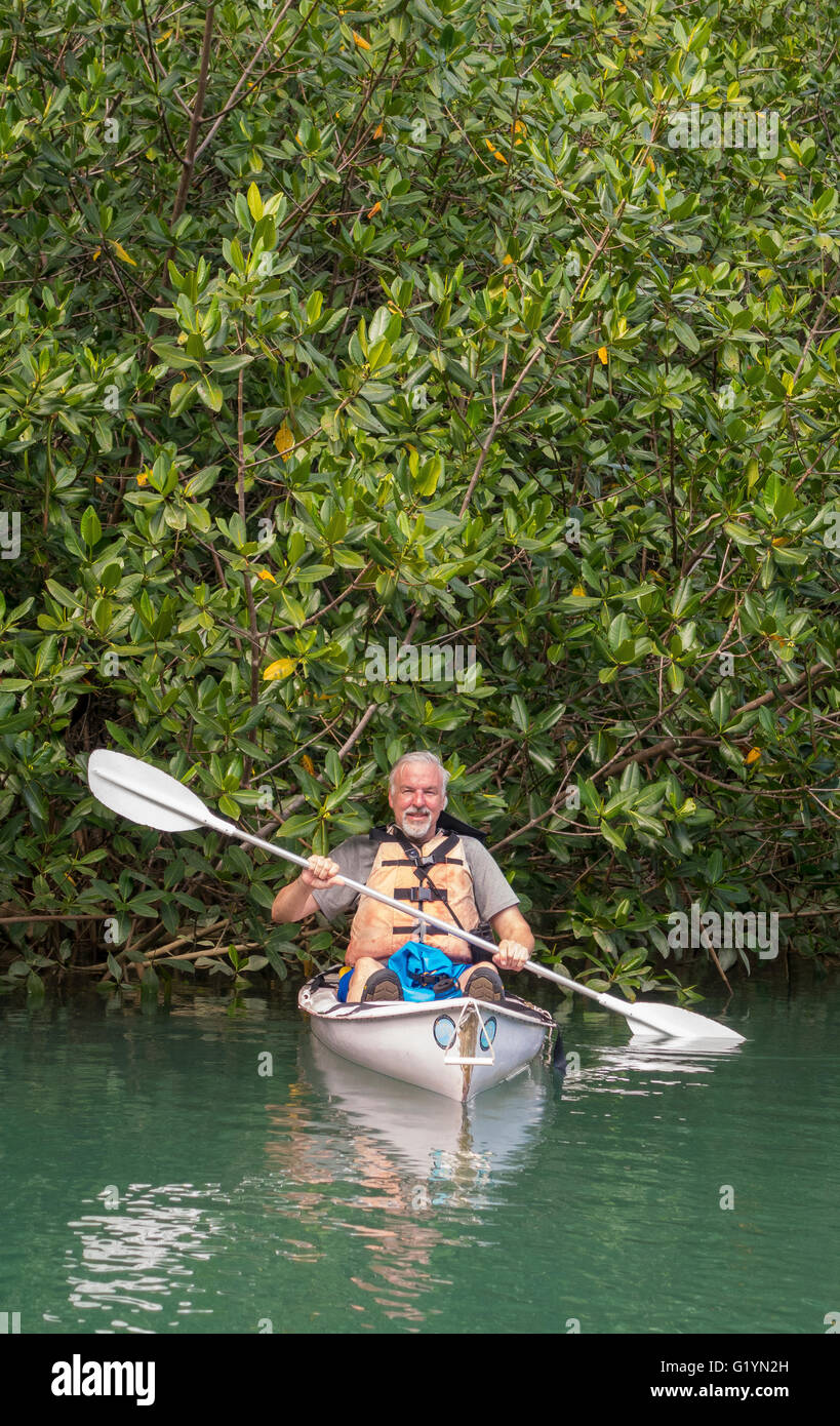 OSA PENINSULA, COSTA RICA - Man in kayak, mangrove swamp. Stock Photo