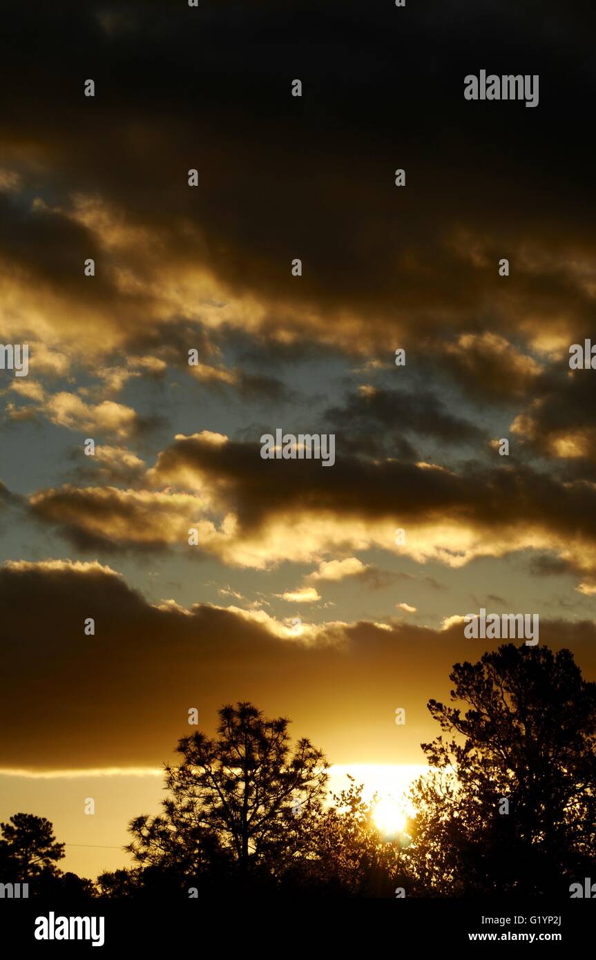 Wonderful woods hi-res stock photography and images - Alamy