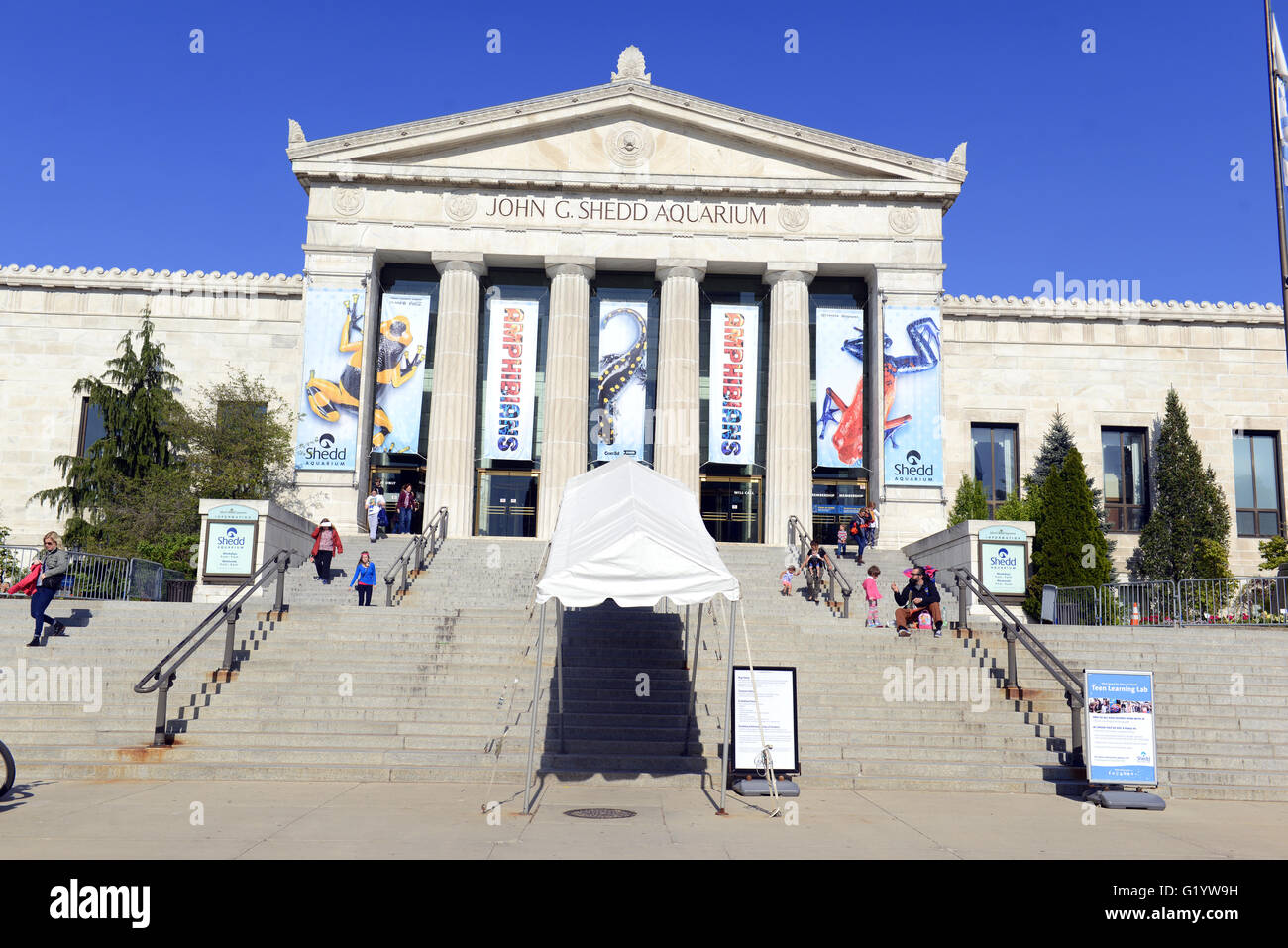 the shedd aquarium in