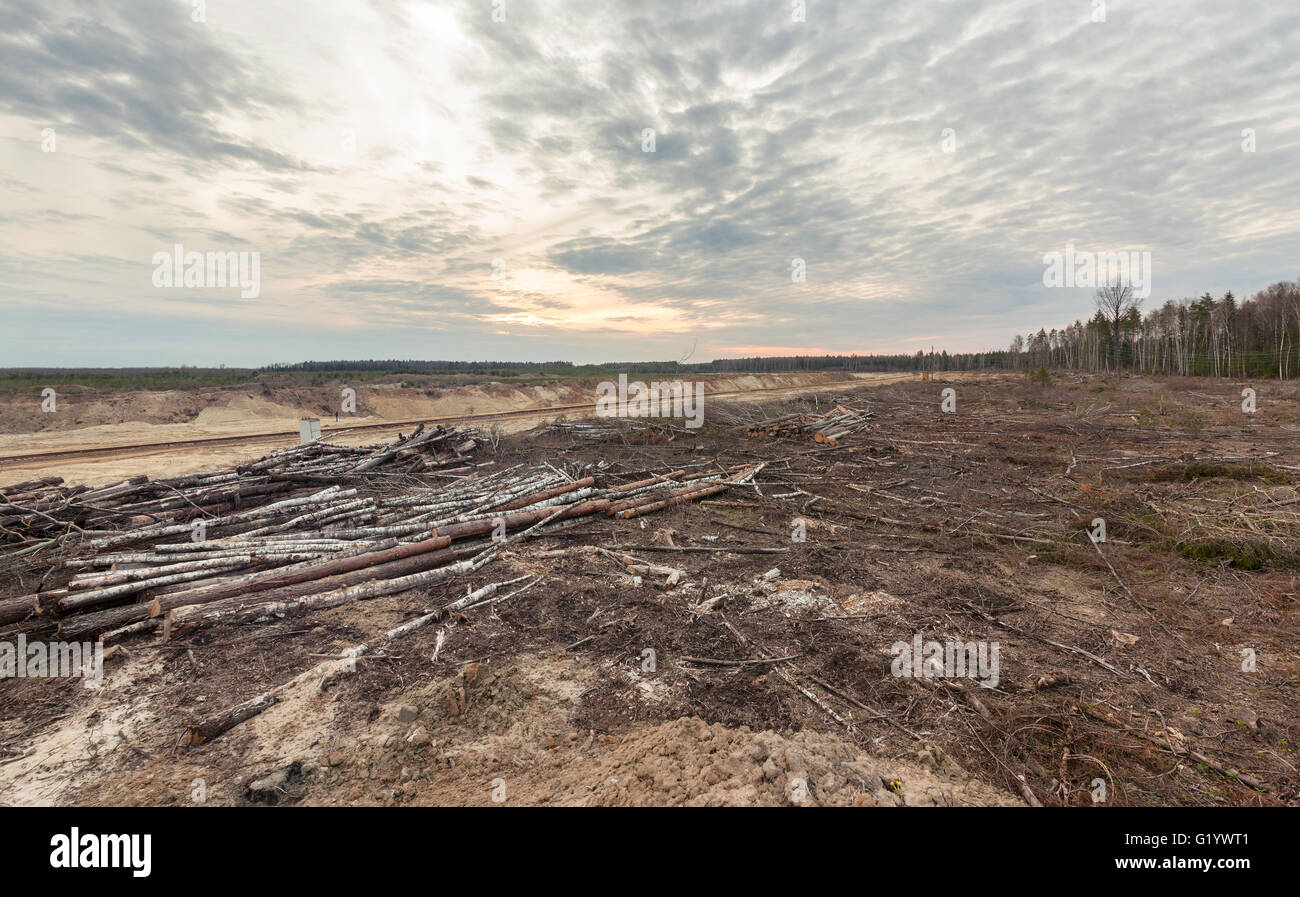 Felling forests near the sand pit. Human impact on the environment. Stock Photo