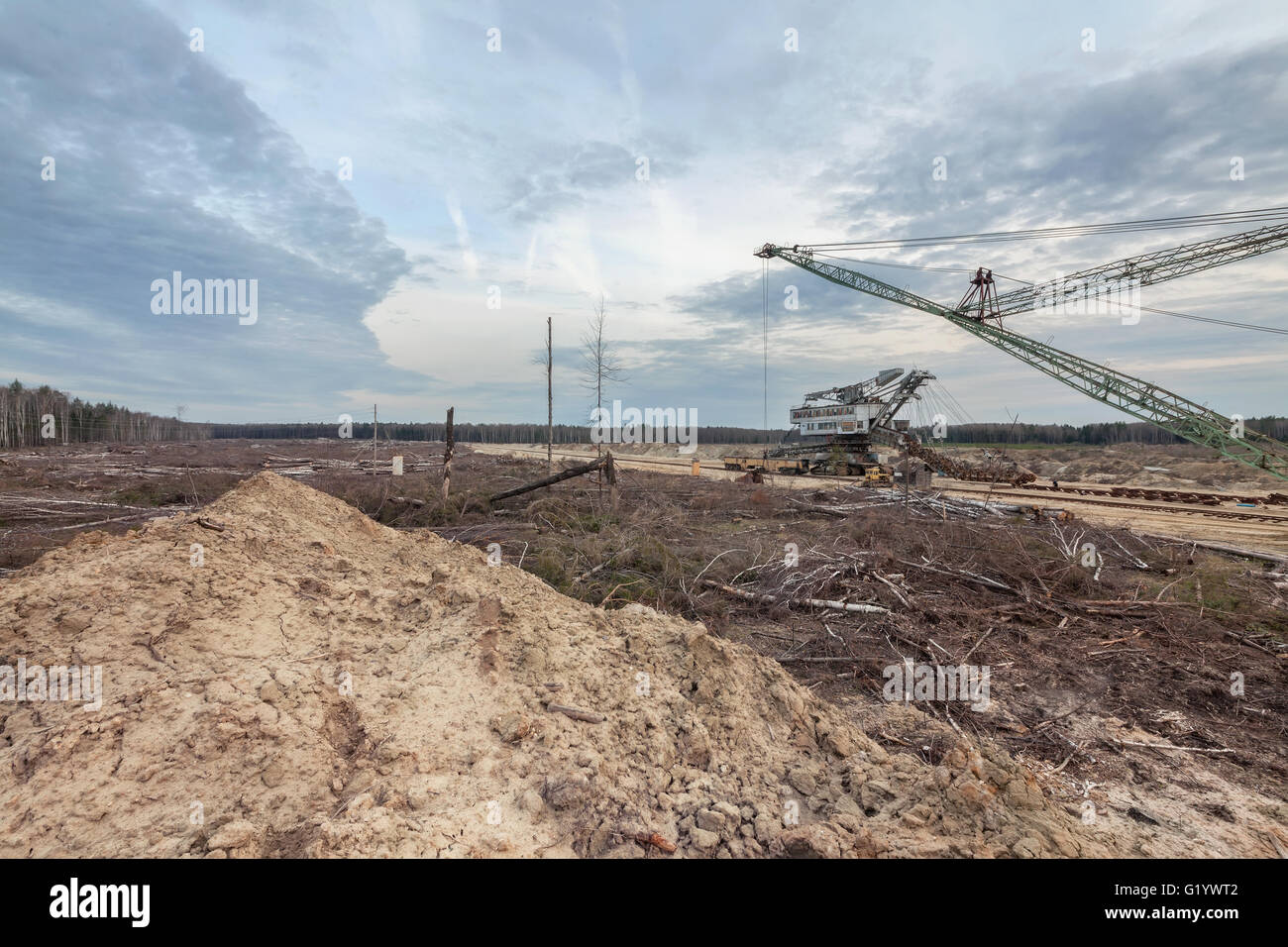 Felling forests near the sand pit. Technology for the development of career Stock Photo