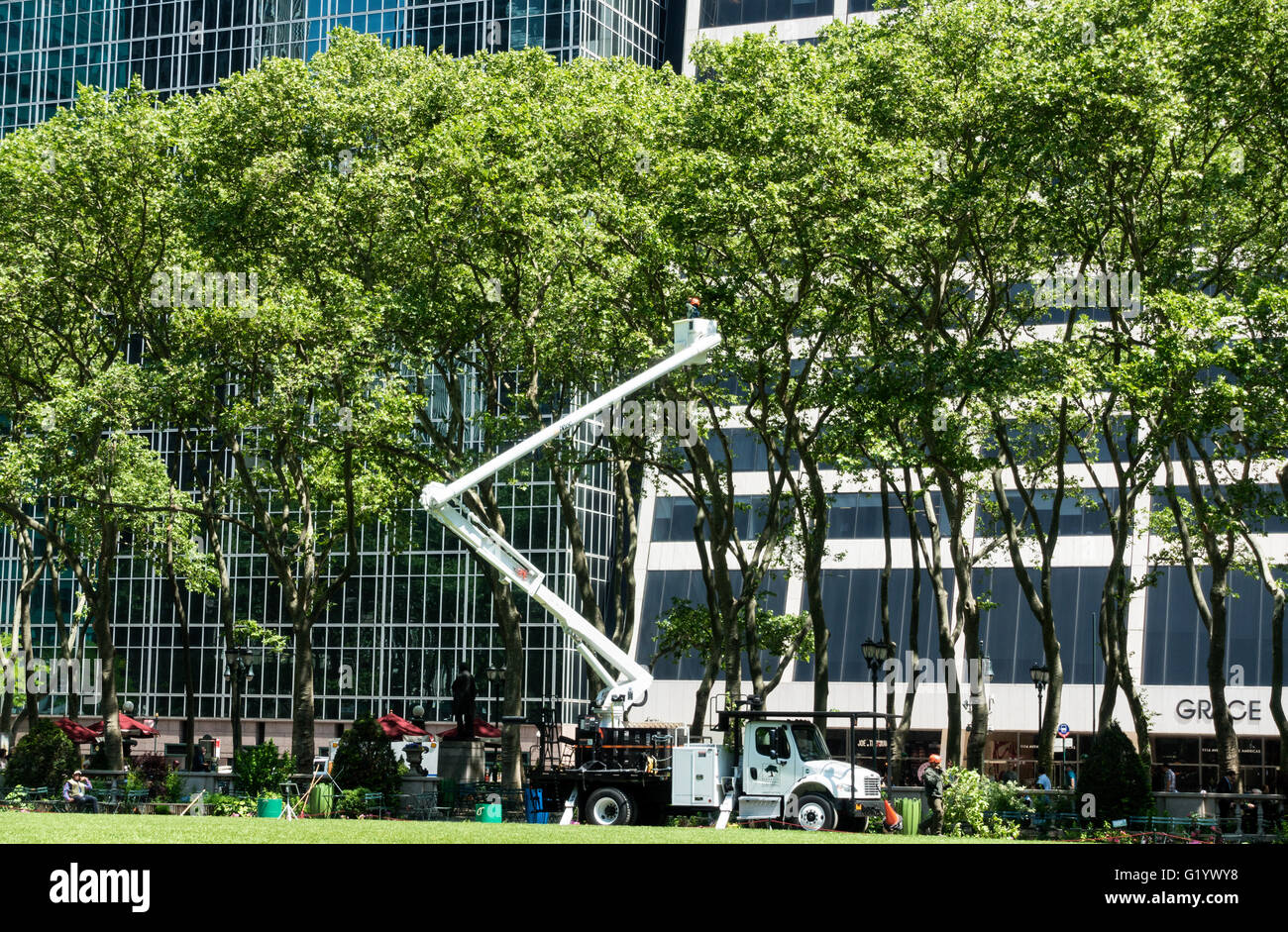 A tree trimming or pruning crew working in Bryant Park in Midtown Manhattan in New York city Stock Photo