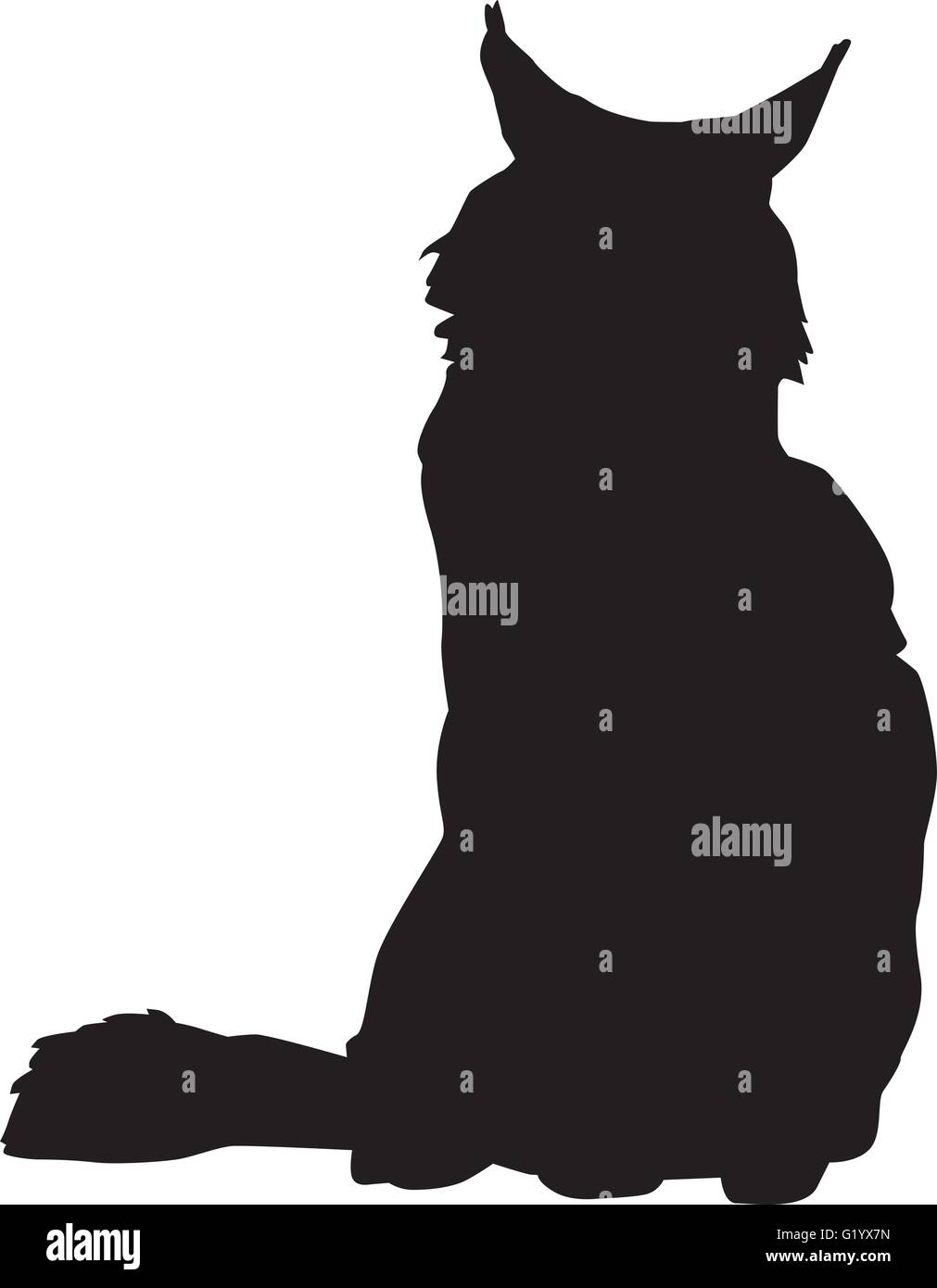 Maine coon silhouette Stock Vector Image & Art - Alamy