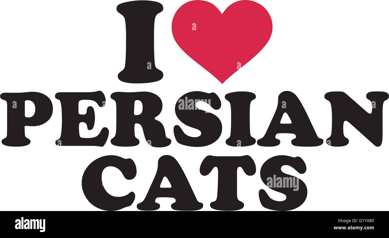 I love persian cats Stock Vector Image & Art Alamy