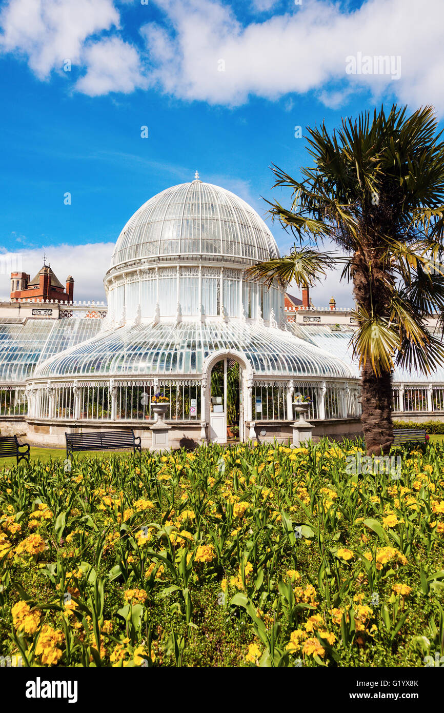 Palm House in Belfast Stock Photo