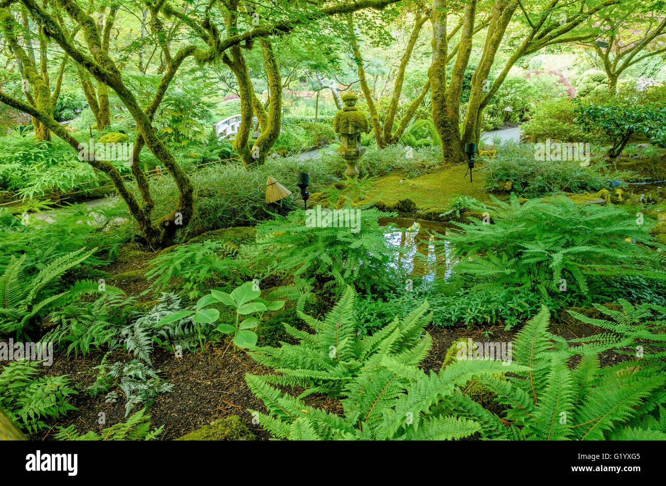 Japanese stone lantern, the Japanese Garden, Butchart Gardens, Brentwood Bay, Vancouver Island, British Columbia, Canada Stock Photo