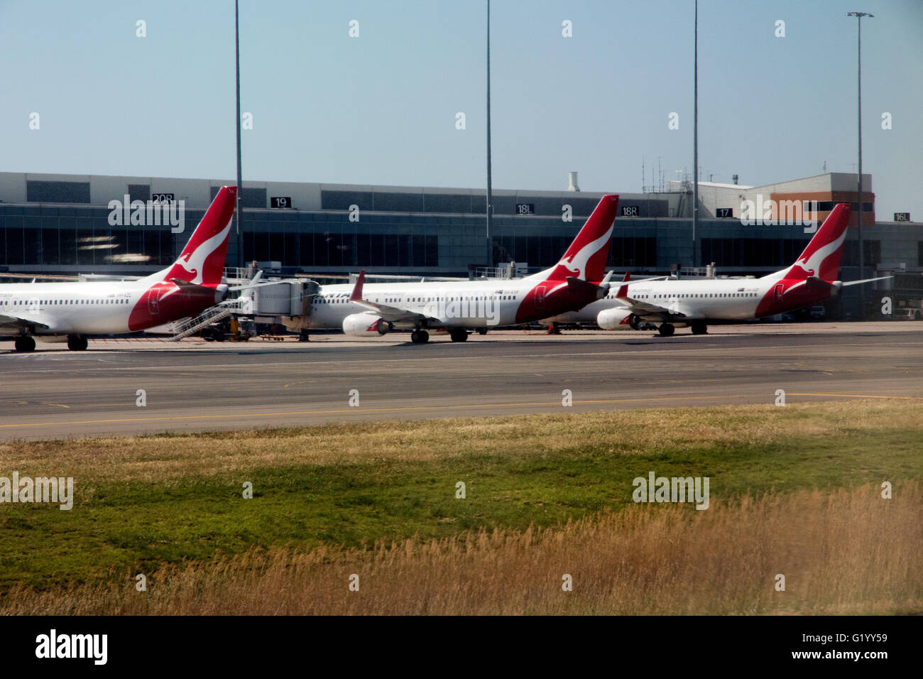 Three Qantas planes parked at the Adelaide airport in Australia Stock