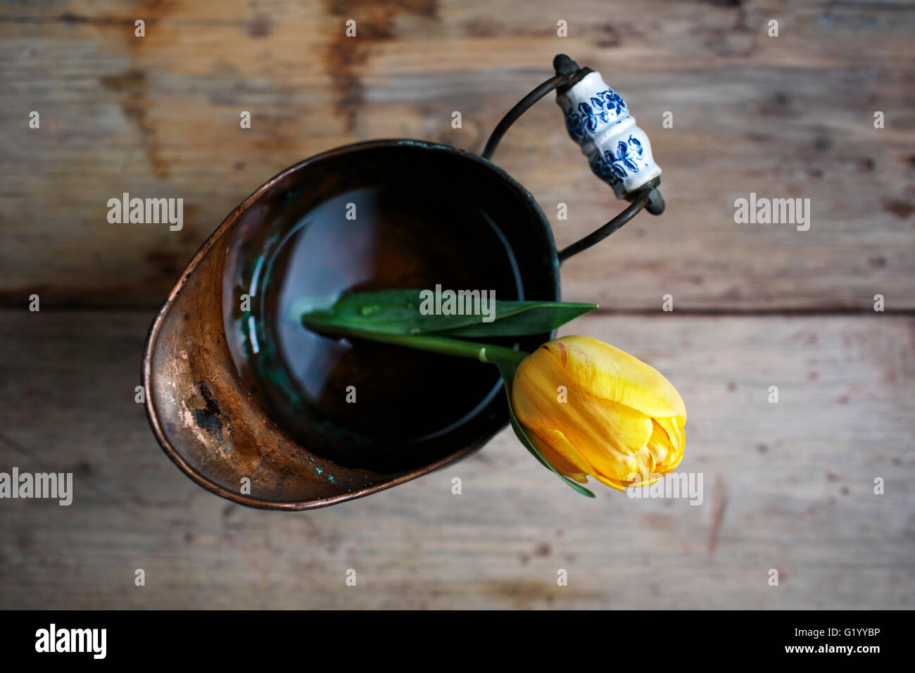 Rustic Still Life with Tulip in Can with Water Stock Photo