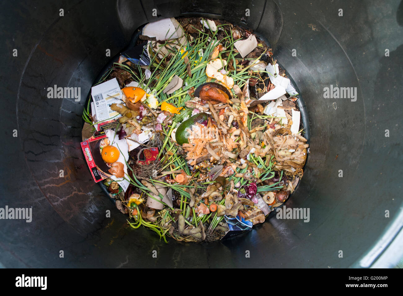 Interior of a plastic compost bin for home use with food scraps and garden waste inside Stock Photo