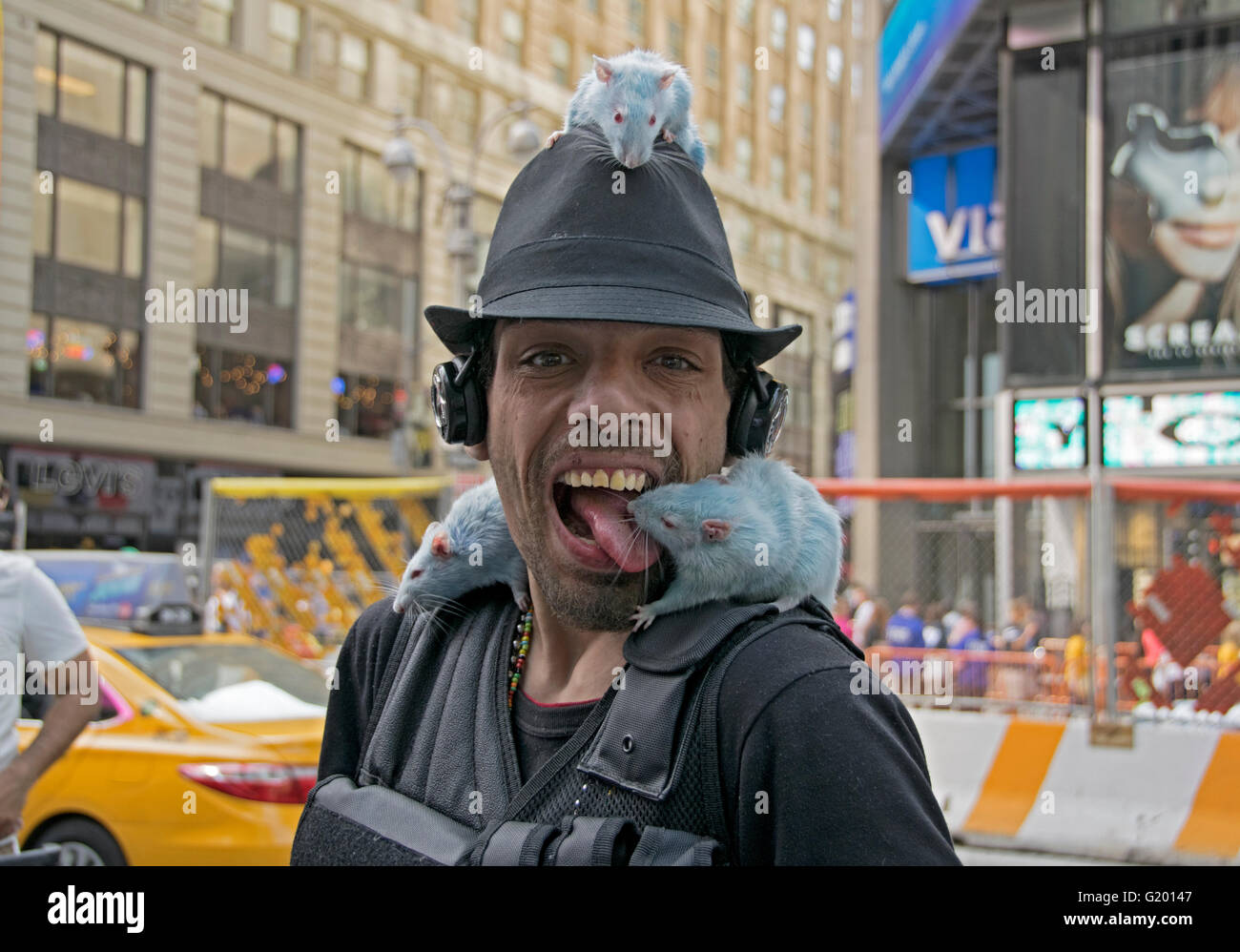 Time Square Rats A street busker with his three pet blue rats in Times Square, Midtown ...