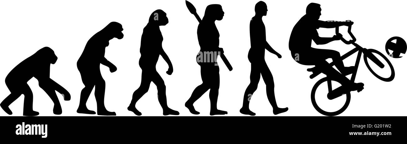 evolution cycle