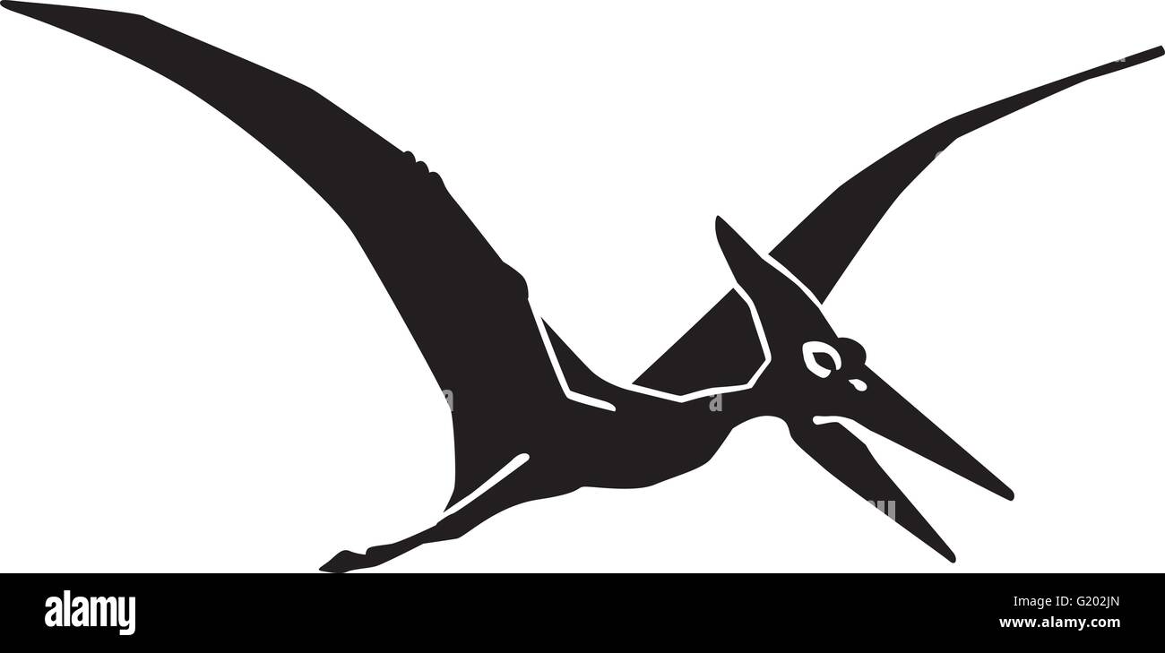 Dinosaur pteranodon pterosaur Stock Vector