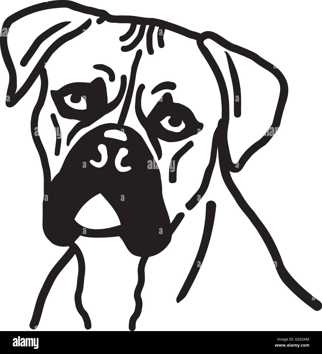 Boxer dog head Stock Vector Image & Art - Alamy
