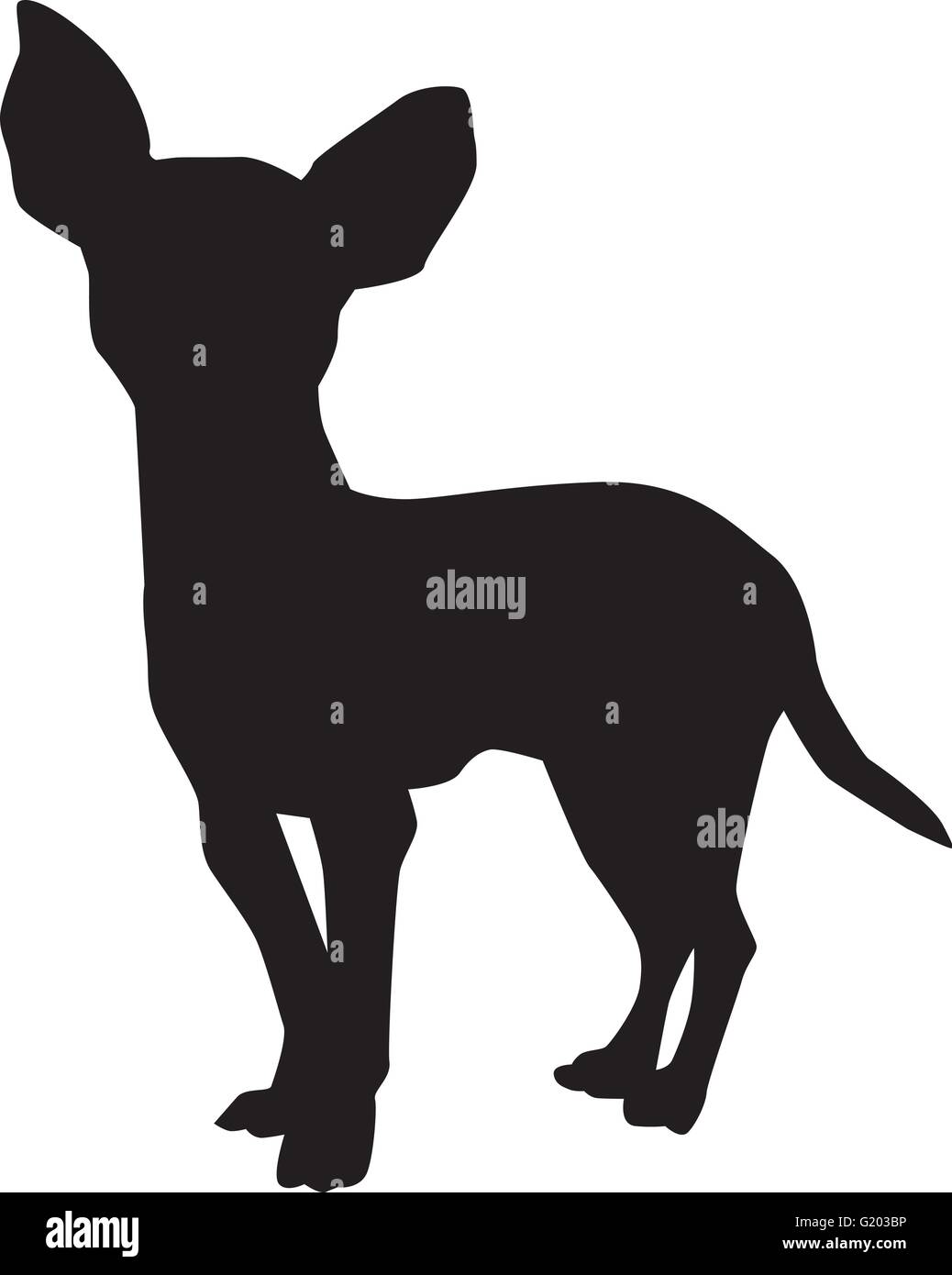 Chihuahua vector vectors hi-res stock photography and images - Alamy