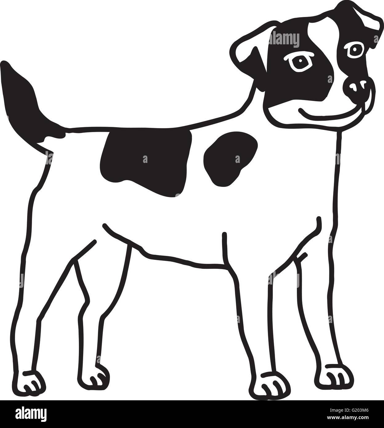 Jack russell vector vectors hi-res stock photography and images - Alamy