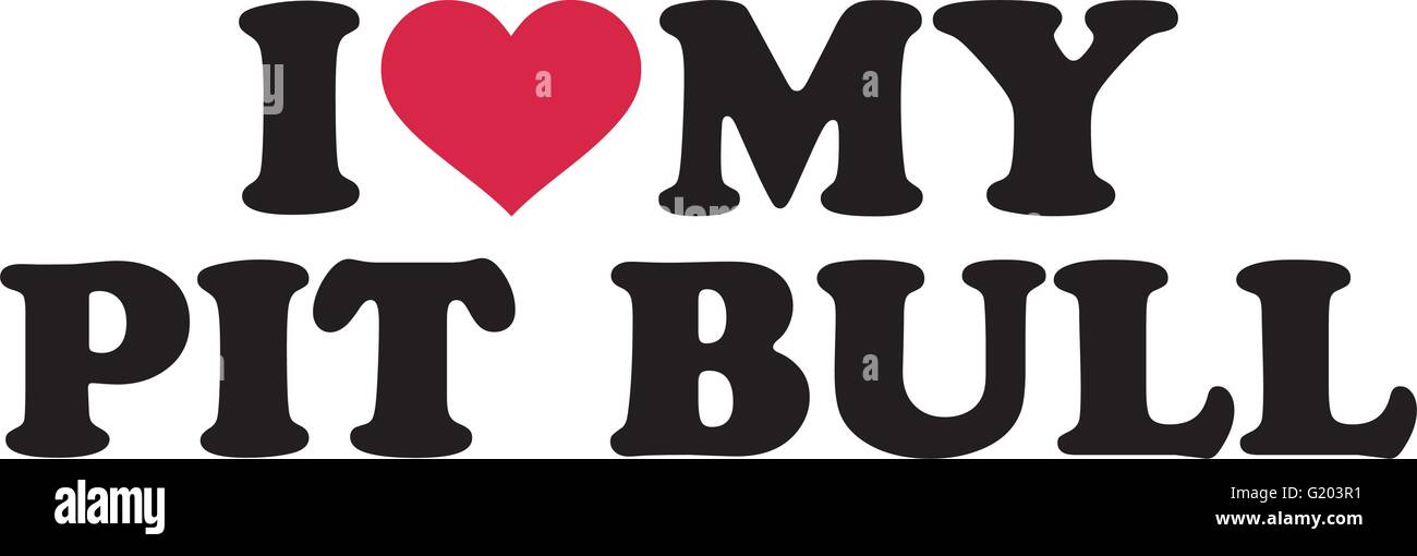 Boston Terrier Corteccia Per La Cura Del Cancro Al Seno Cane - Foto 8