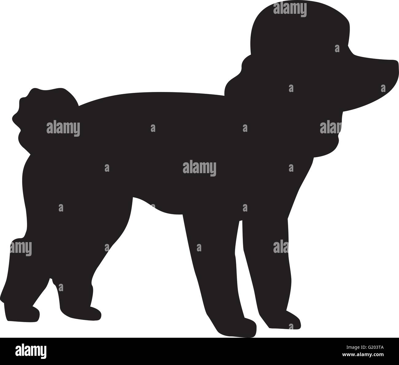 Poodle dog silhouette Stock Vector Image & Art - Alamy