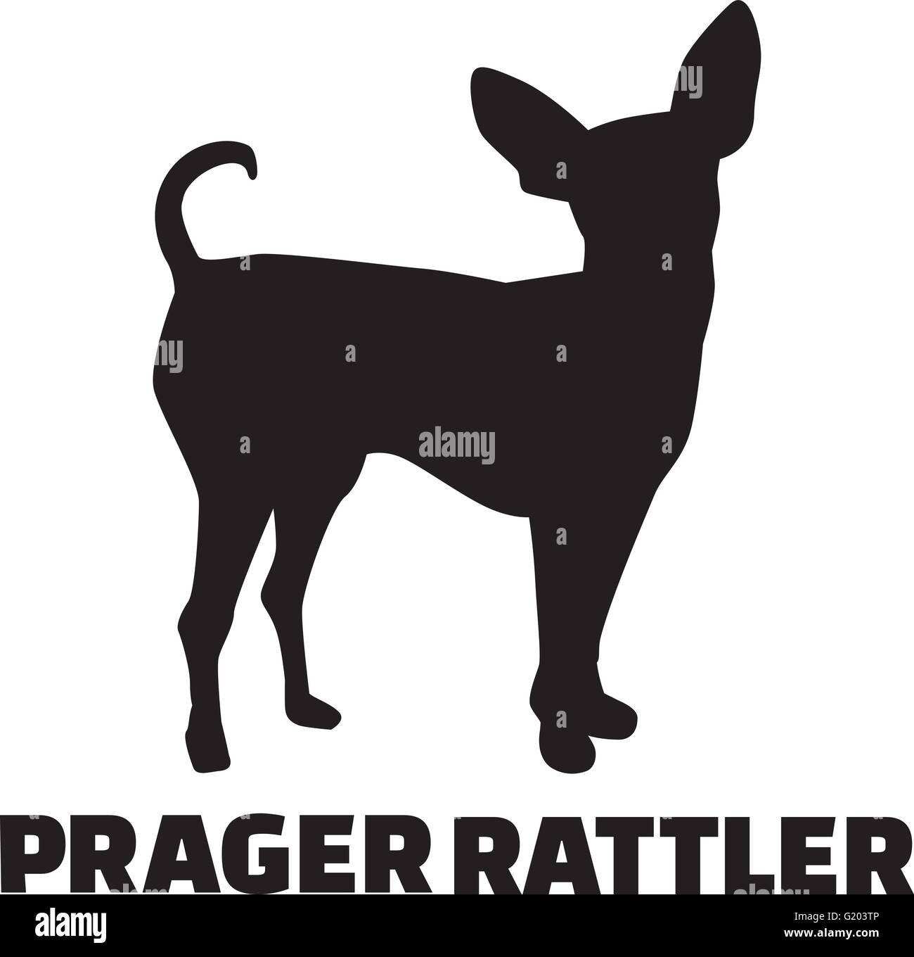 Prague ratter with german breed name Stock Vector