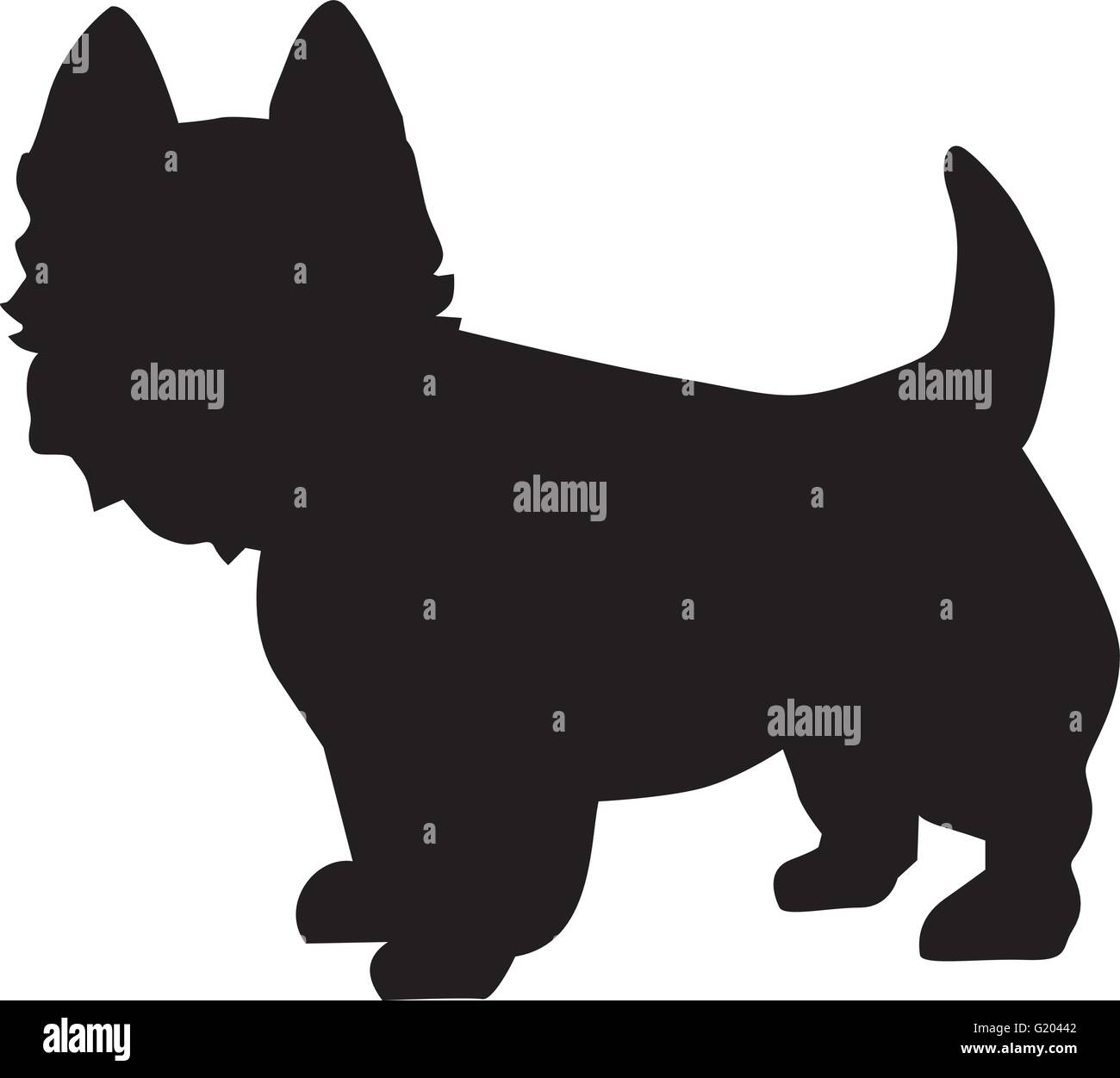 West Highland Terrier silhouette Stock Vector