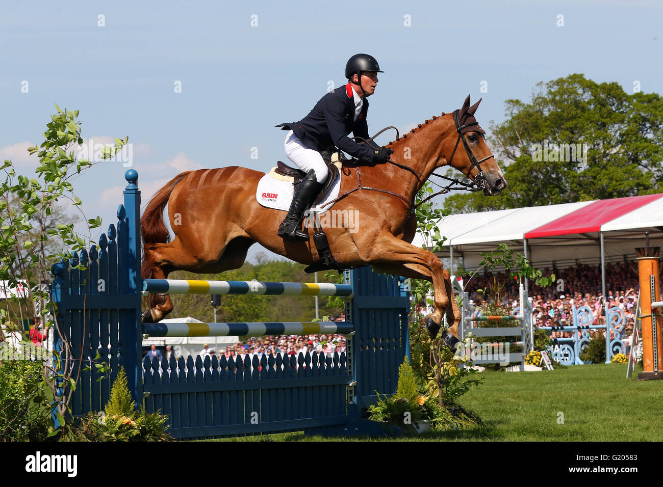 Oliver townend eventing hi-res stock photography and images - Alamy