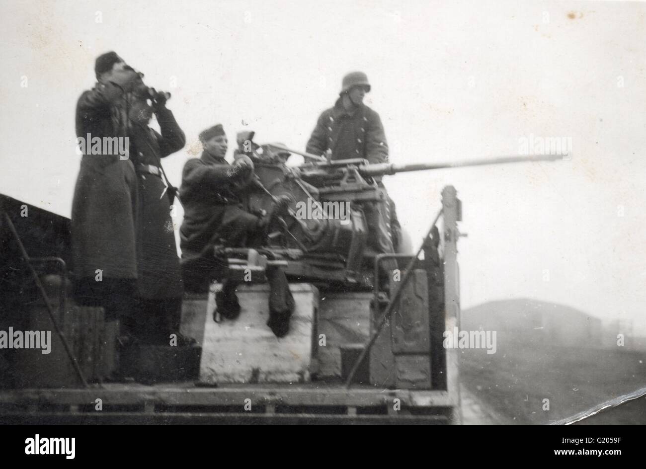 German Light Flack Anti Aircraft Gun Fires from truck Russian Front 1941 Stock Photo