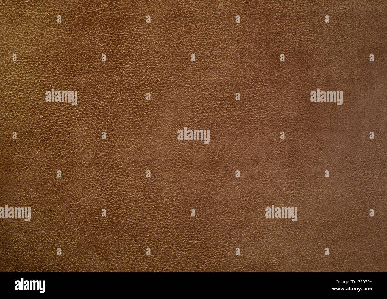 Chamois leather hires stock photography and images Alamy