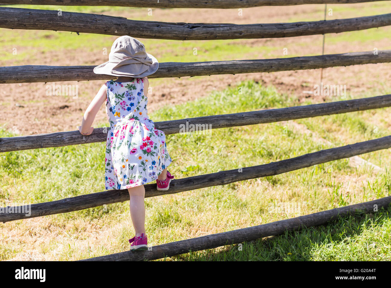 Toddler playing on the farm in the summer Stock Photo - Alamy