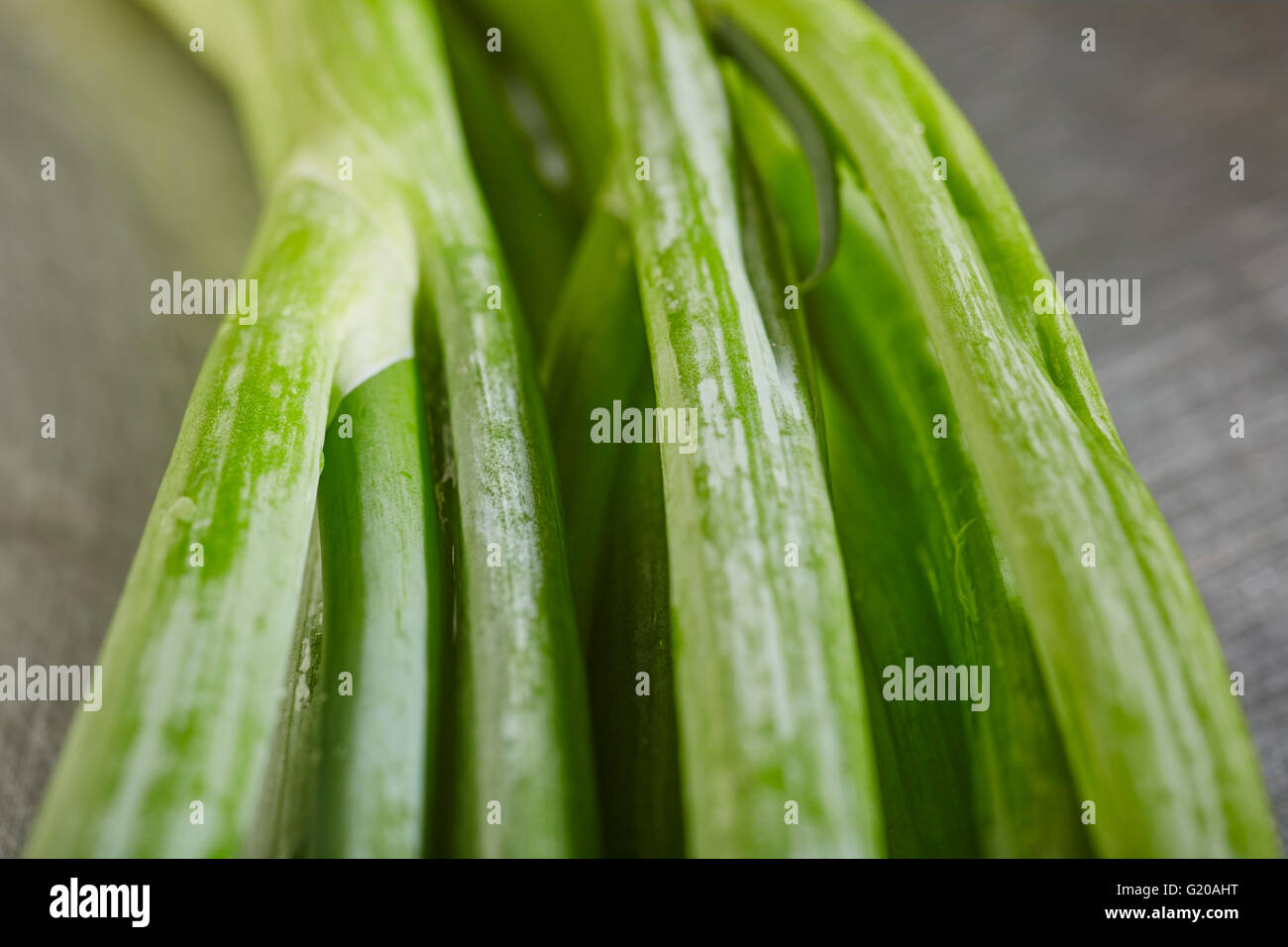 green onions, sometimes called spring onions, scallions or long onions Stock Photo