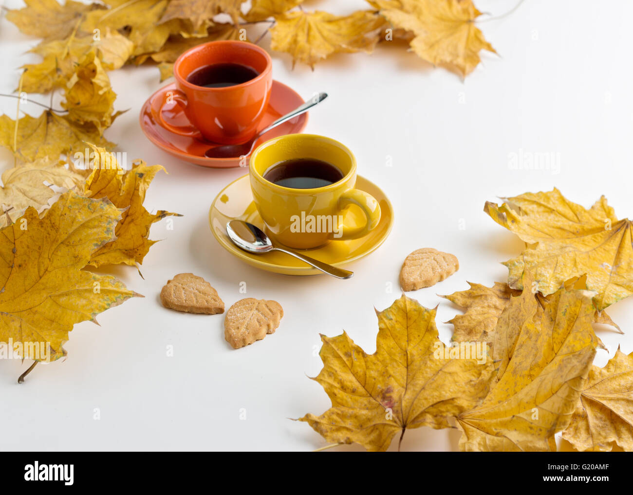 Two leaves in focus hi-res stock photography and images - Alamy