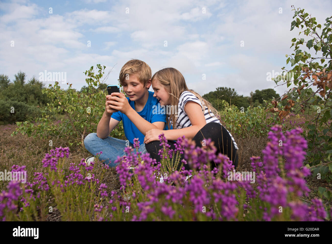 Young boy & girl texting on smart phone on heath Kelling Norfolk UK Stock Photo