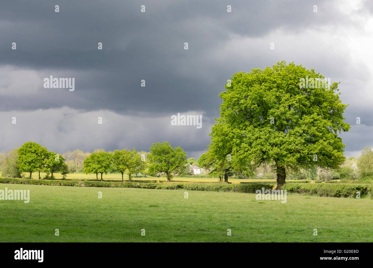 Storm clouds over an English landscape, England, UK Stock Photo