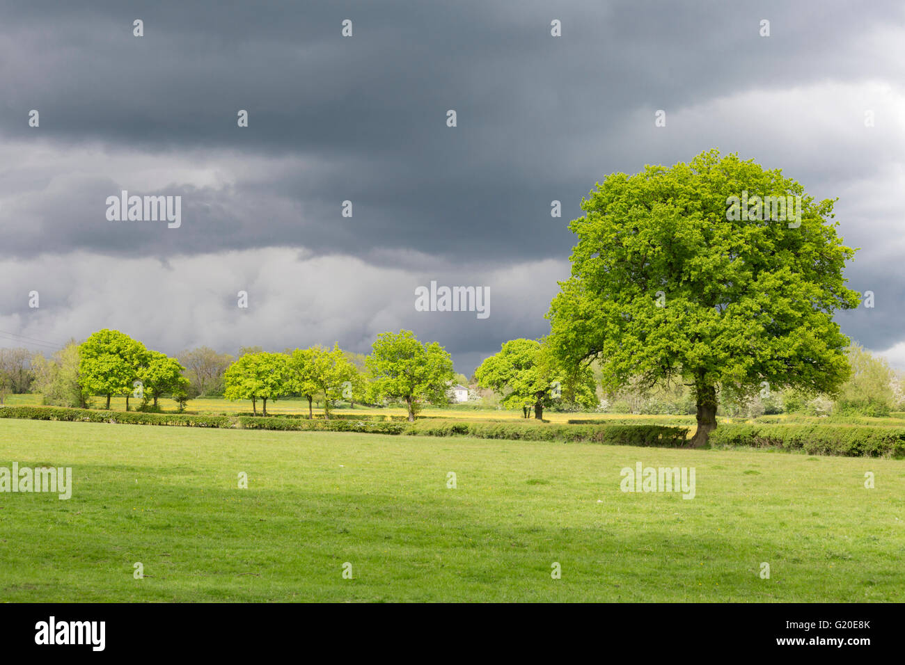 Storm clouds over an English landscape, England, UK Stock Photo