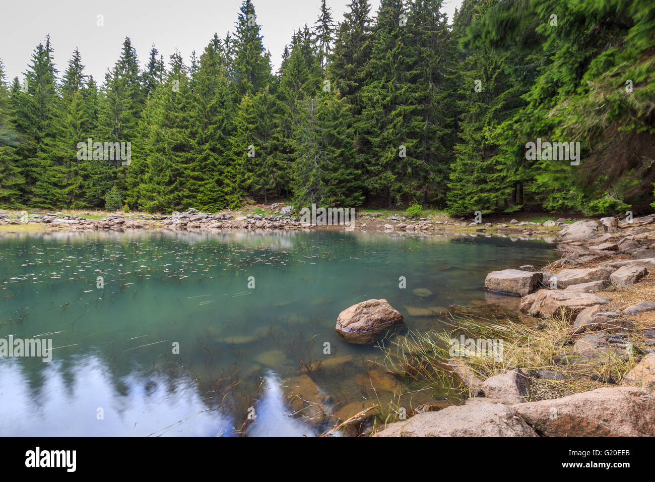 Lake mountain spring tree hi-res stock photography and images - Alamy