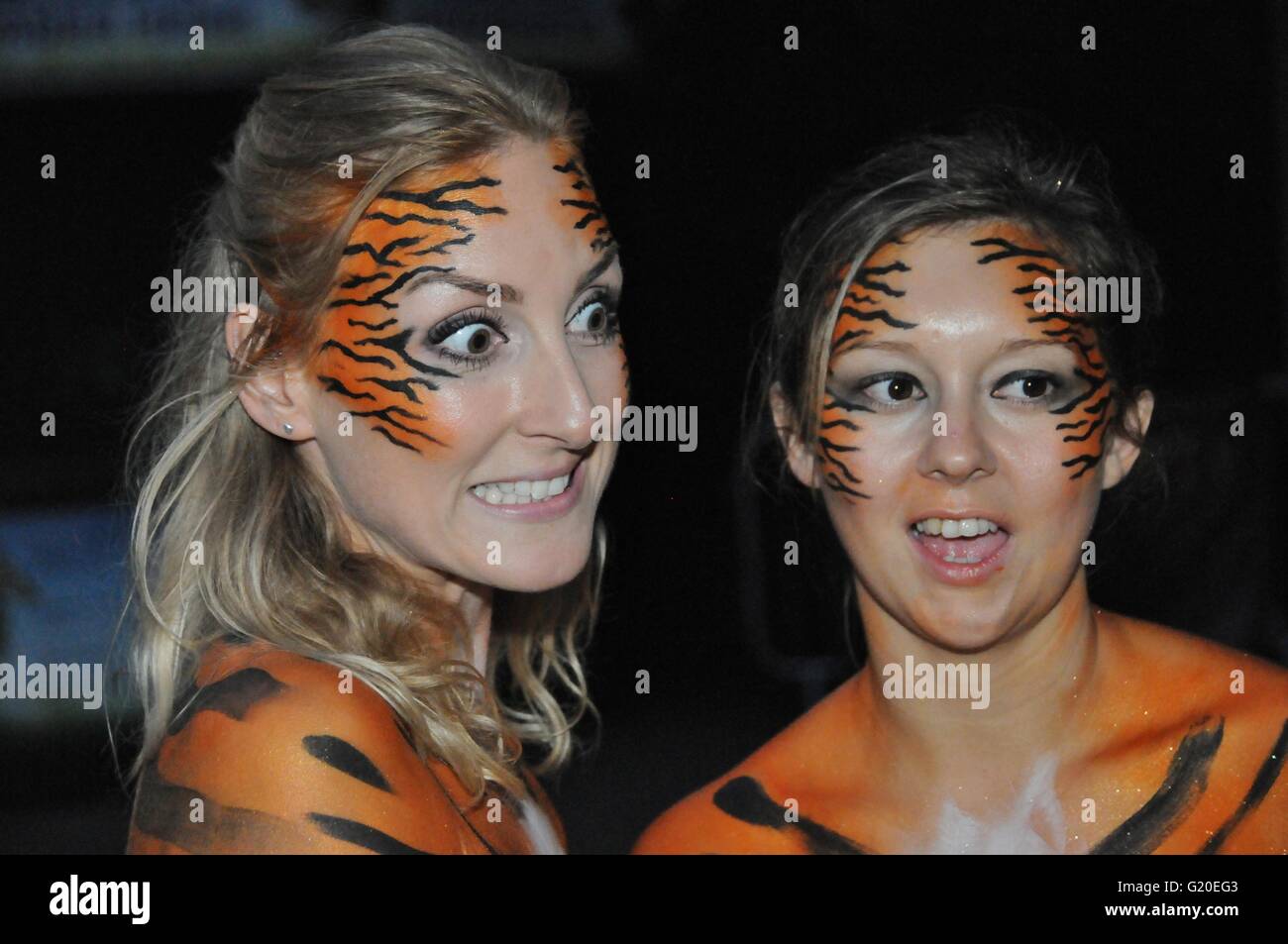 London Zoo's Charity Streak for Sumatran Tigers Stock Photo