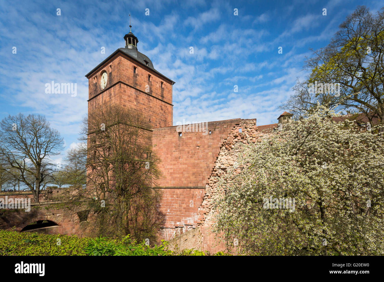 Heidelberg, Germany - the Red Castle and city streets. Stock Photo
