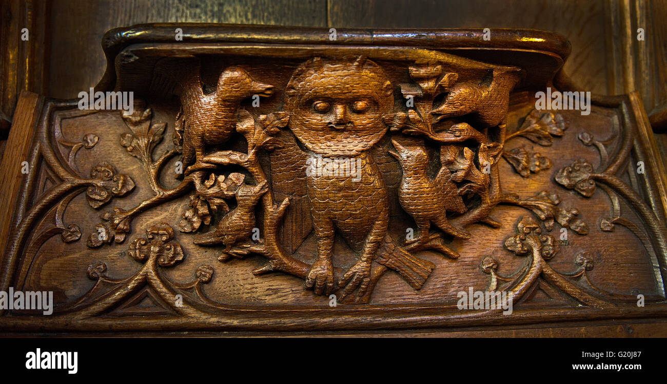 Medieval misericord depicting an owl being mobbed by birds thought to refer to Jews in medieval period that were regarded with s Stock Photo