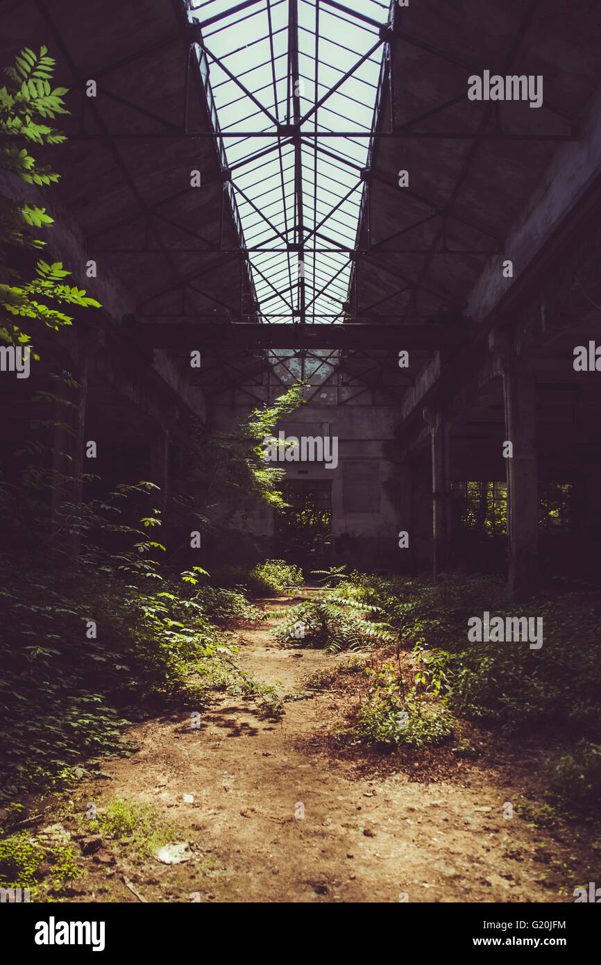 Abandoned factory and vegetation Stock Photo