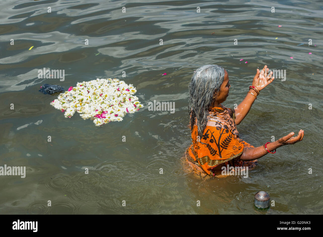 An Indian women having a bath in Ana Sagar lake in Ajmer, India after morning prayer. Stock Photo