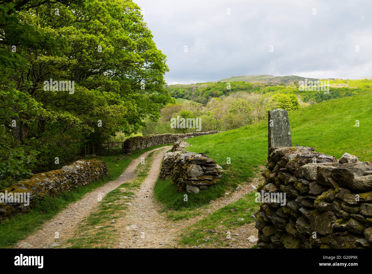 Rural scene near Staveley in the Lake District Stock Photo